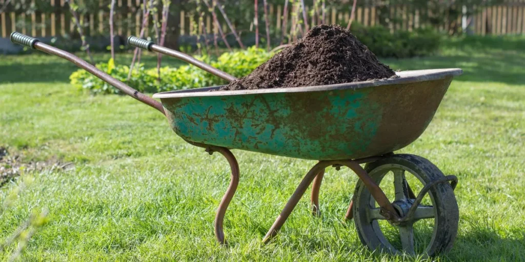 What Are the Advantages of Using Compost on Your Lawn? What Are the Advantages of Using Compost on Your Lawn?