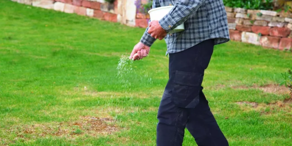 What Are the Best Tips for Lawn Care During Summer? What Are the Best Tips for Lawn Care During Summer?